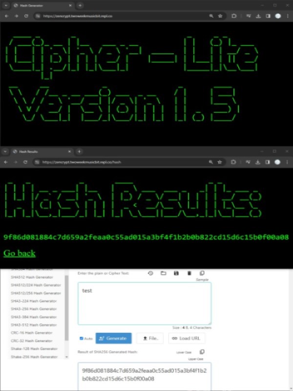 Personal Portfolio Images